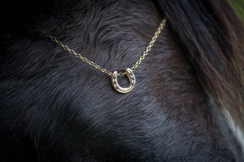 Horse Shoe Pendant - 9ct Gold - Sapphires
