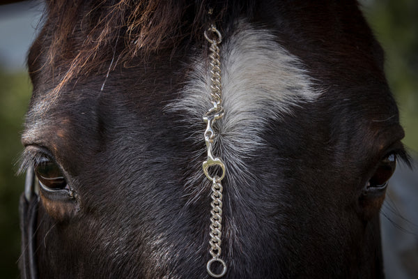 Snaffle Bit Curb Chain Bracelet